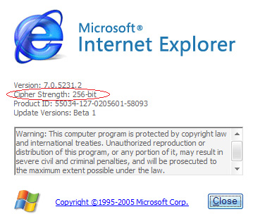 Microsoft IE About page showing  cipher strength - 256-bit